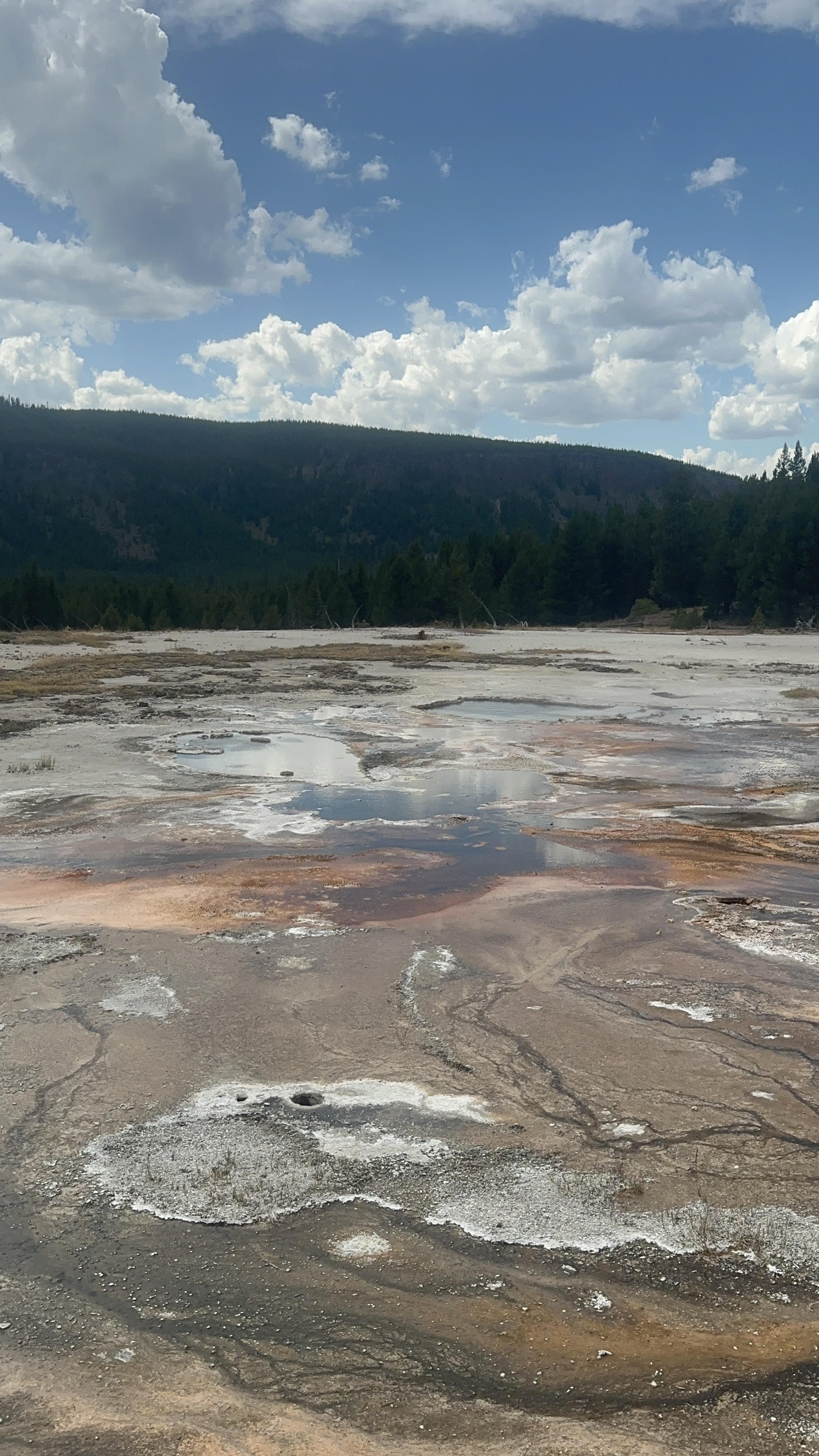 Yellowstone And Grand Teton National Parks - Image 37